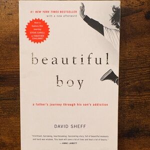 Beautiful Boy Book by David Sheff